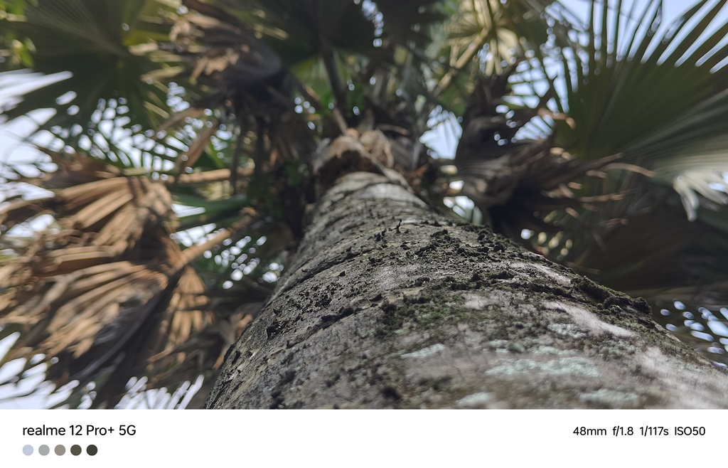 Review realme 12 Pro+ 5G, Kamera Hape Kelas Menengah Tidak Pernah Sehebat Ini