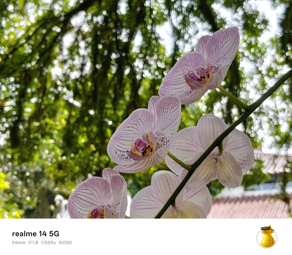 Review realme 14 5G, Smartphone Mid-Range dengan Fitur Gaming High-Level