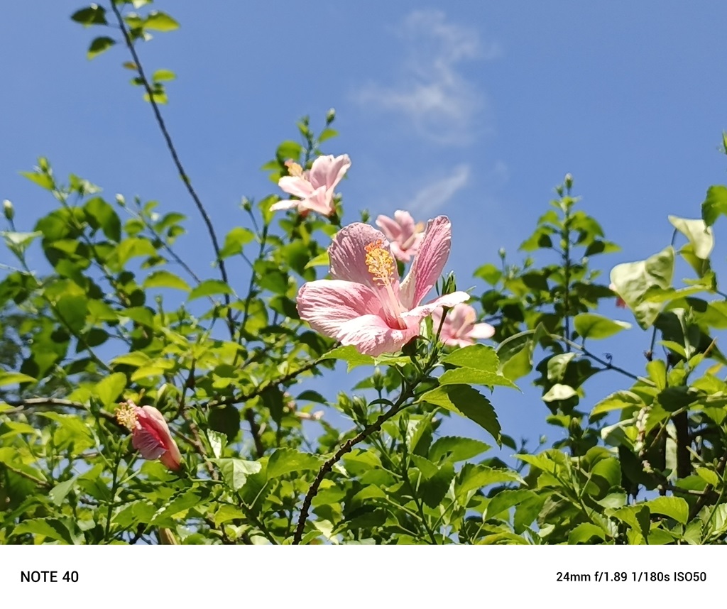 Review Infinix Note 40 Racing Edition, Tampilan Gaming Puas di Harga