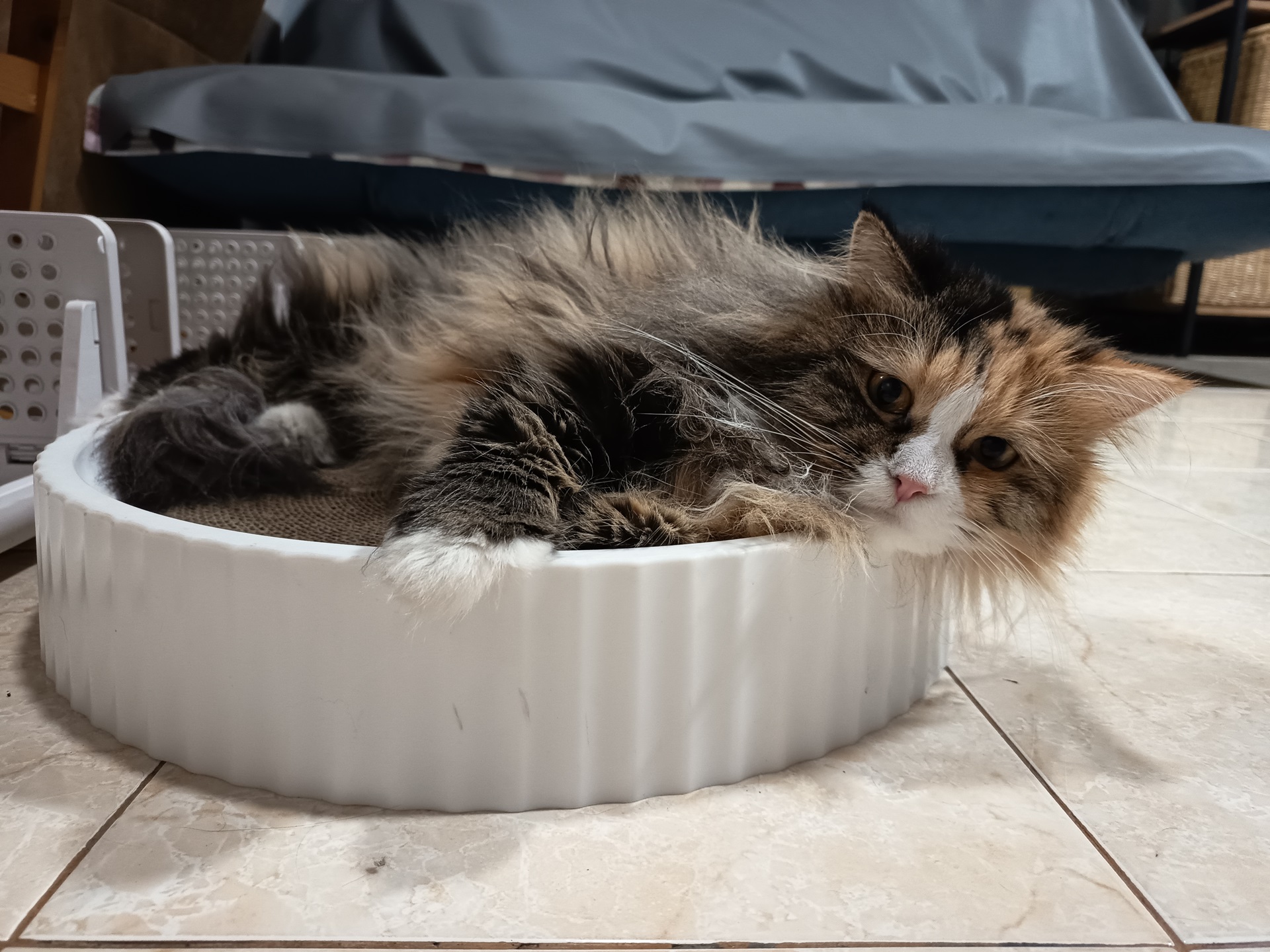 Redmi Note 14 5G, Semuanya Naik Kelas