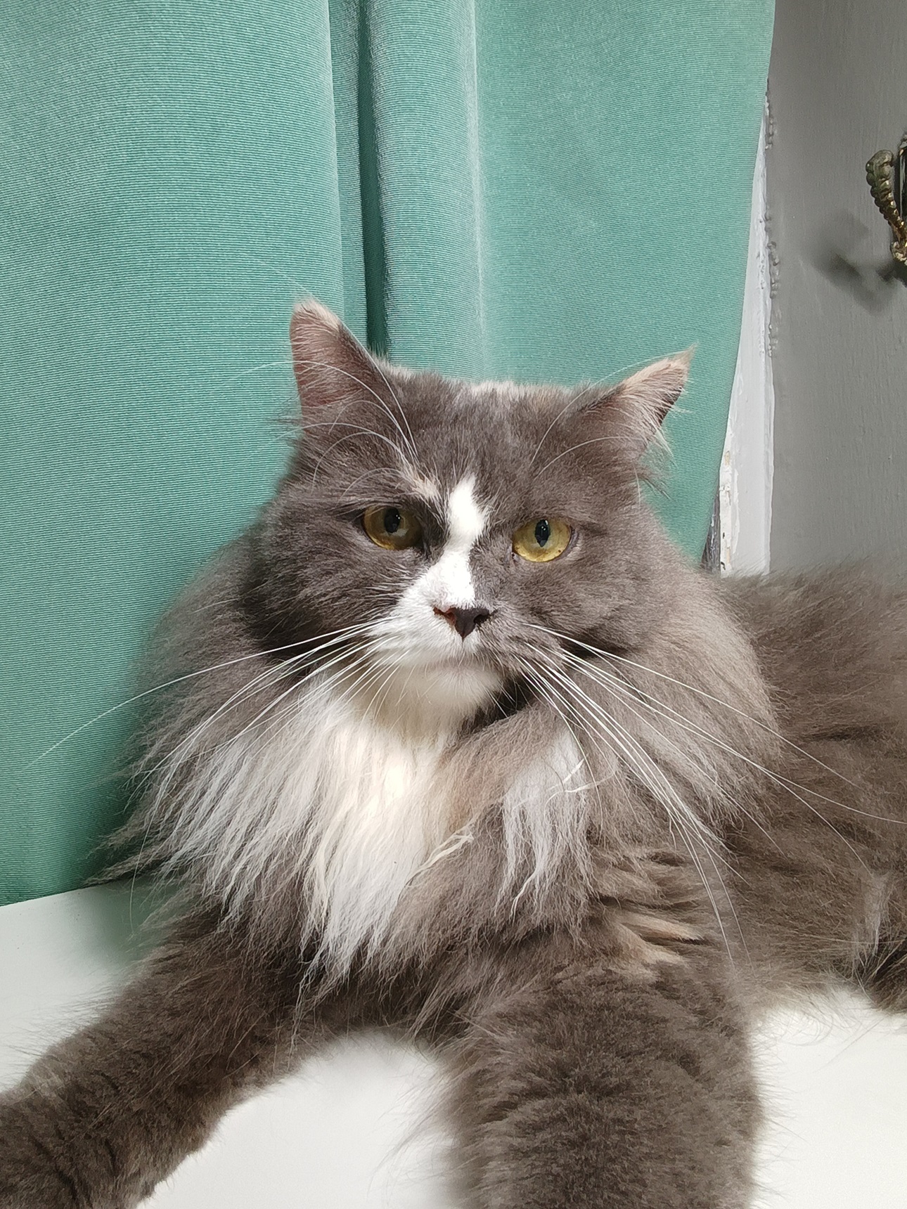 Redmi Note 14 5G, Semuanya Naik Kelas