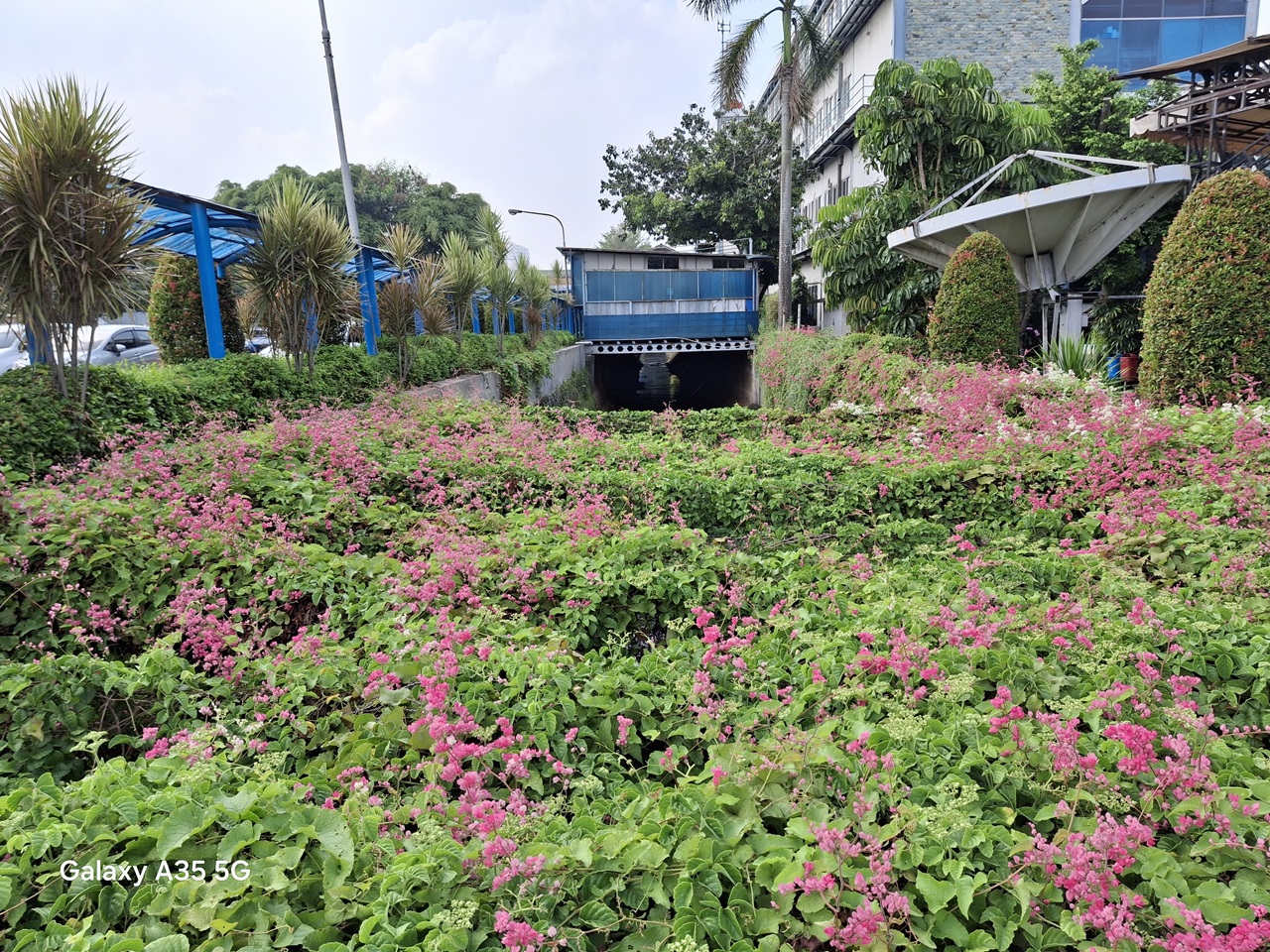 Samsung Galaxy A35 5G, Menawan di Kelasnya