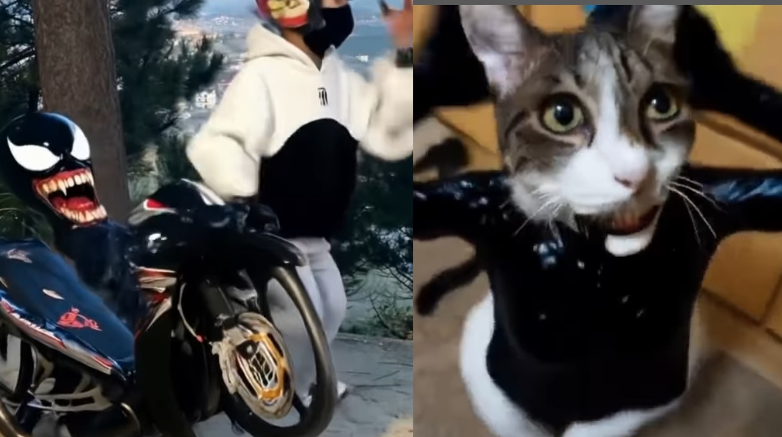 Pakai AI, Begini Cara Bikin Video Transformasi Venom yang Viral di TikTok