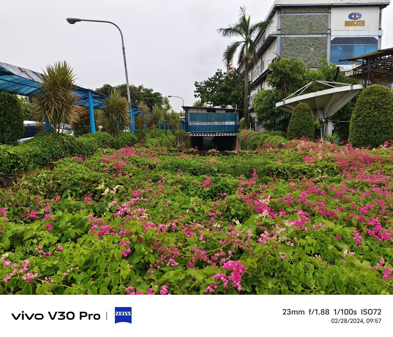 Review Vivo V30 Pro, Kamera Terbaik di Kelasnya