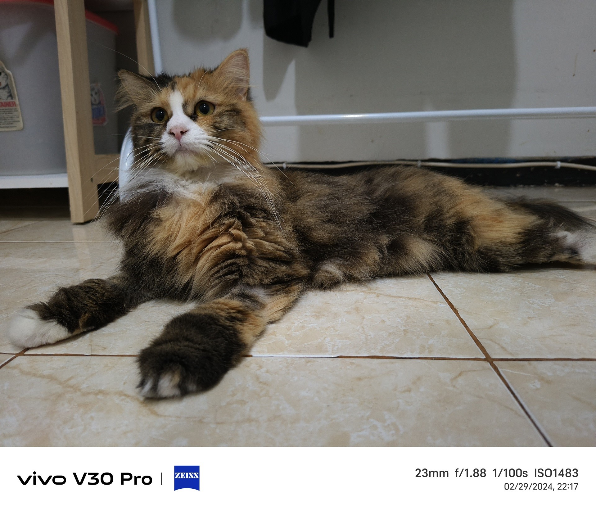 Review Vivo V30 Pro, Kamera Terbaik di Kelasnya