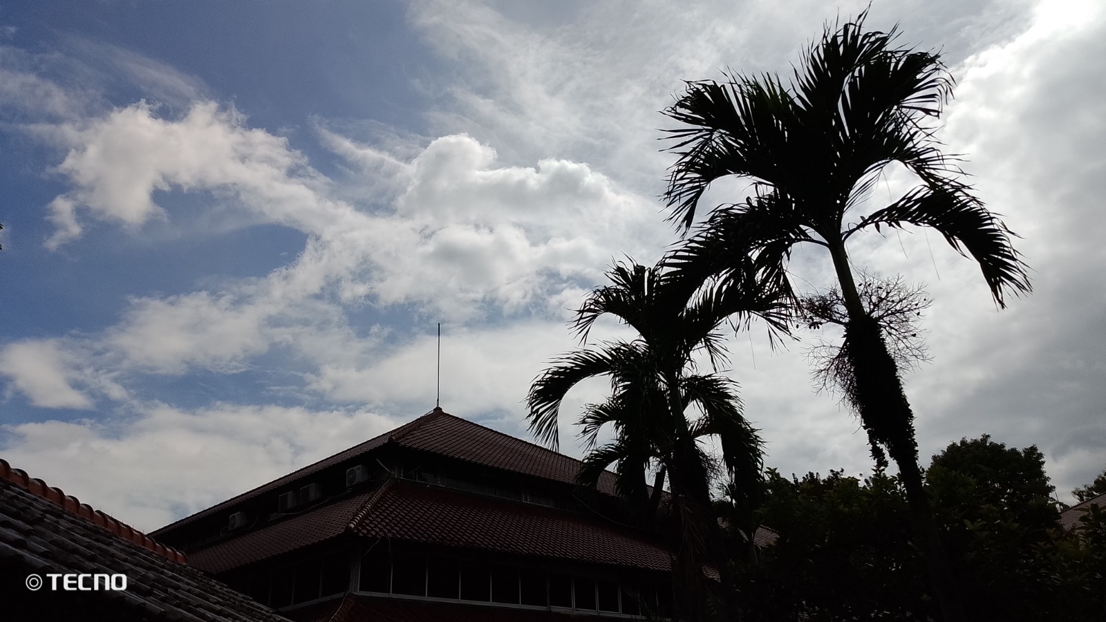 Review Tecno Spark Go 1: Harga Rp1 Jutaan, Spesifikasi Cocok Buat Upgrade