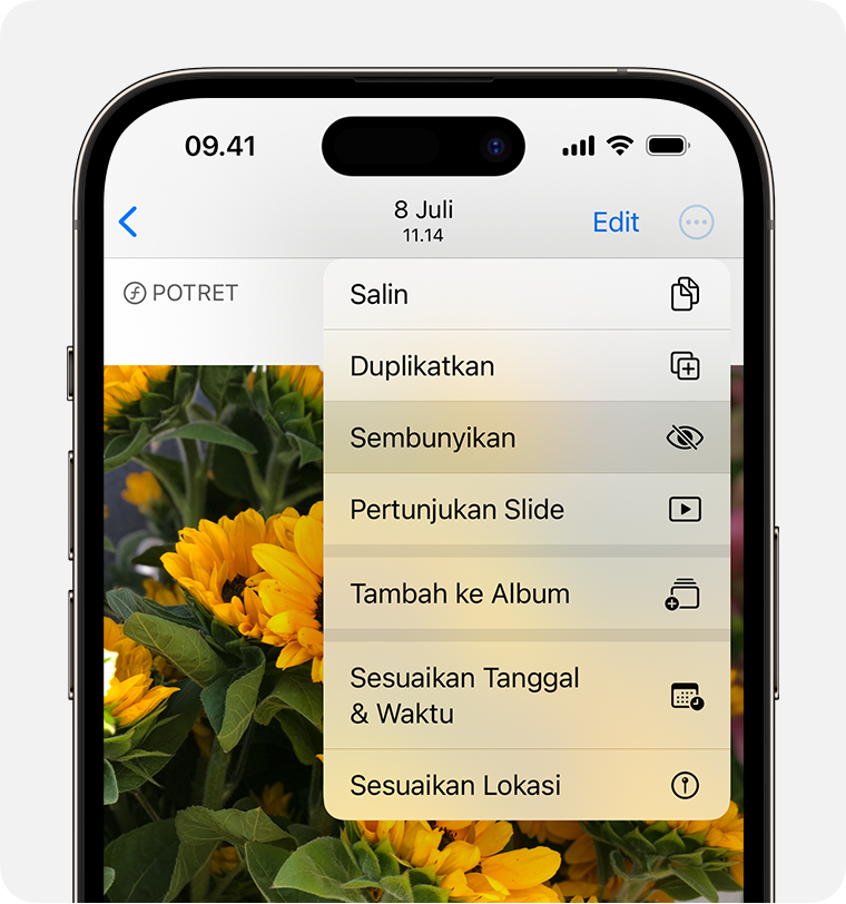 Biar Privasi Terjaga, Ini Cara Mudah Sembunyikan Foto dan Video di Galeri iPhone
