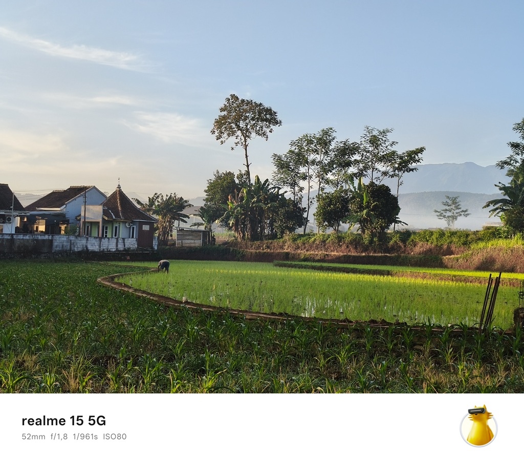 Review realme 15 5G, Gak Nyangka Kamera dan Daya Tahan Baterainya Begini!