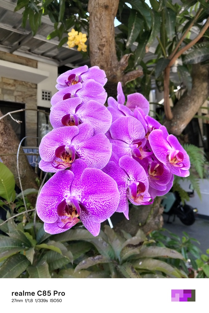 Review realme C85 Pro, Baterai Gajah-Daya Tahan Badak Harga Rp2-3 Jutaan