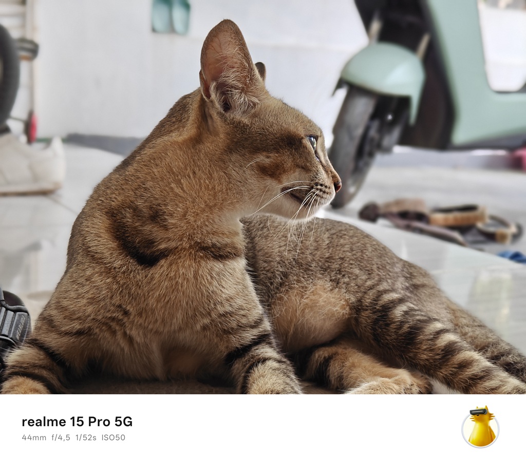 Review realme 15 Pro 5G, Masih Mantap Tanpa ‘Pro+’ dan Kamera Telefoto