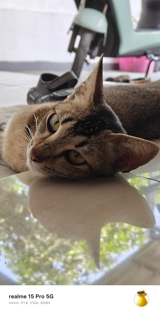 Review realme 15 Pro 5G, Masih Mantap Tanpa ‘Pro+’ dan Kamera Telefoto