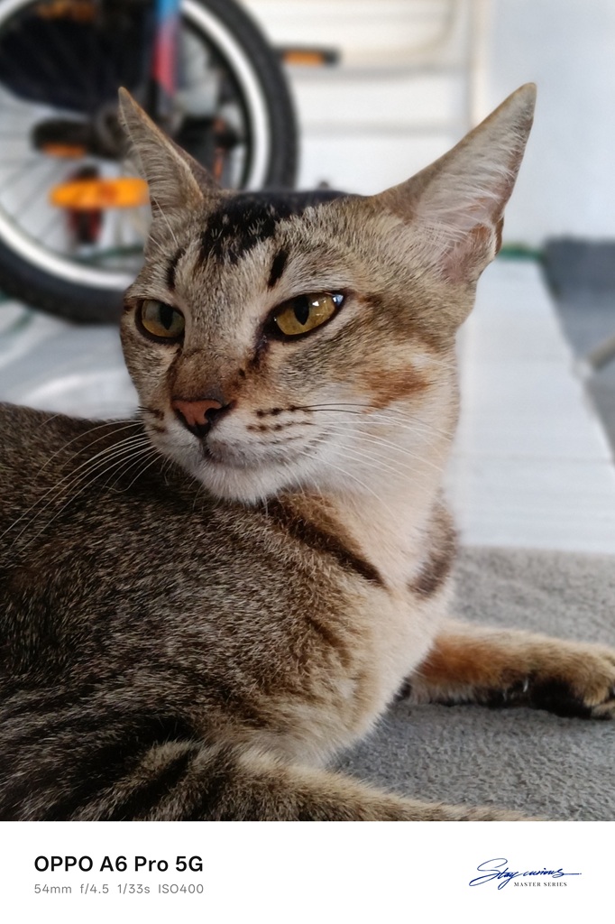 Review Oppo A6 Pro 5G: Harga Rp4 Jutaan 7000 mAh dan Tahan Air Beneran