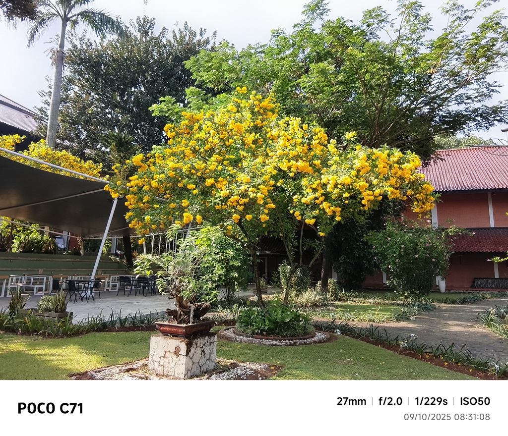 Review Poco C71, Buat yang Nyari HP Murah Rp1 Jutaan Merek Poco