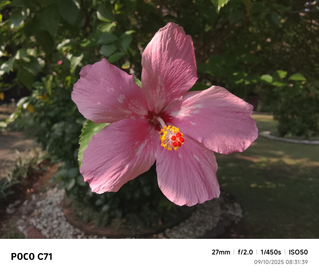 Review Poco C71, Buat yang Nyari HP Murah Rp1 Jutaan Merek Poco