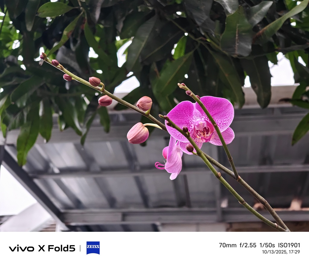 Review vivo X Fold5, HP Lipat yang Kameranya Jagoan