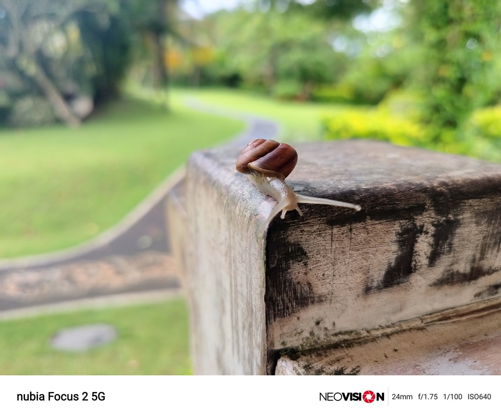 Review nubia Focus 2 5G, Kamera 108MP di Harga Rp2 Jutaan