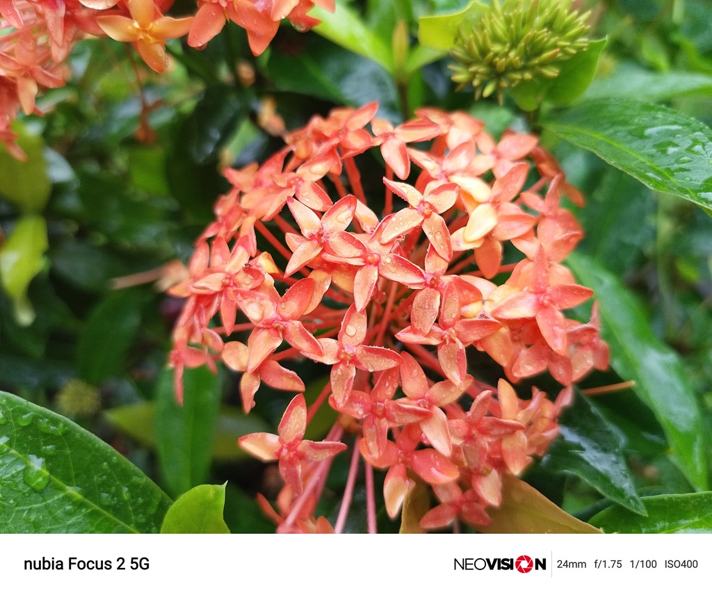 Review nubia Focus 2 5G, Kamera 108MP di Harga Rp2 Jutaan