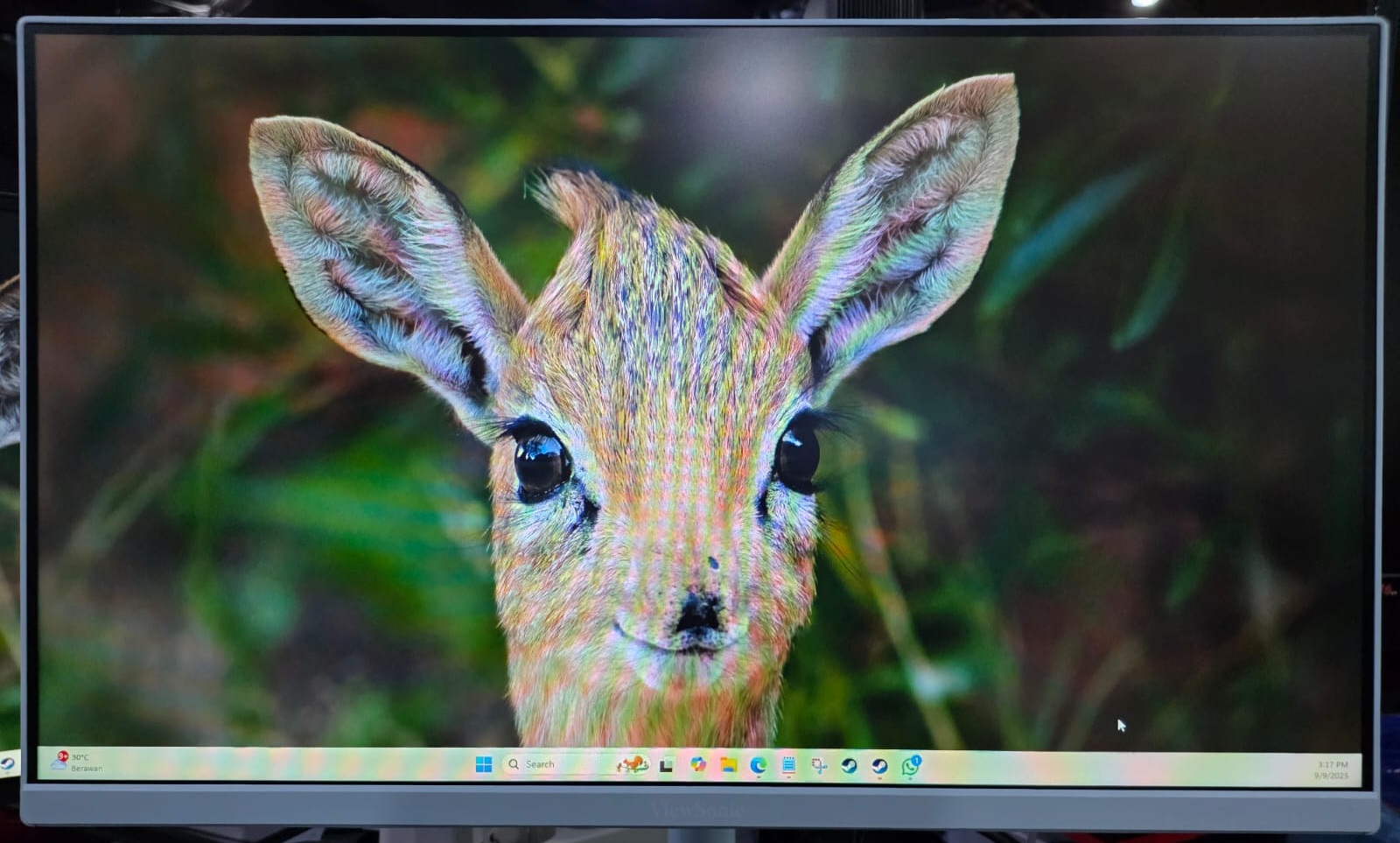 ViewSonic VX2428AJ-BL, Duet 240Hz dan Gaya Gaming Kekinian