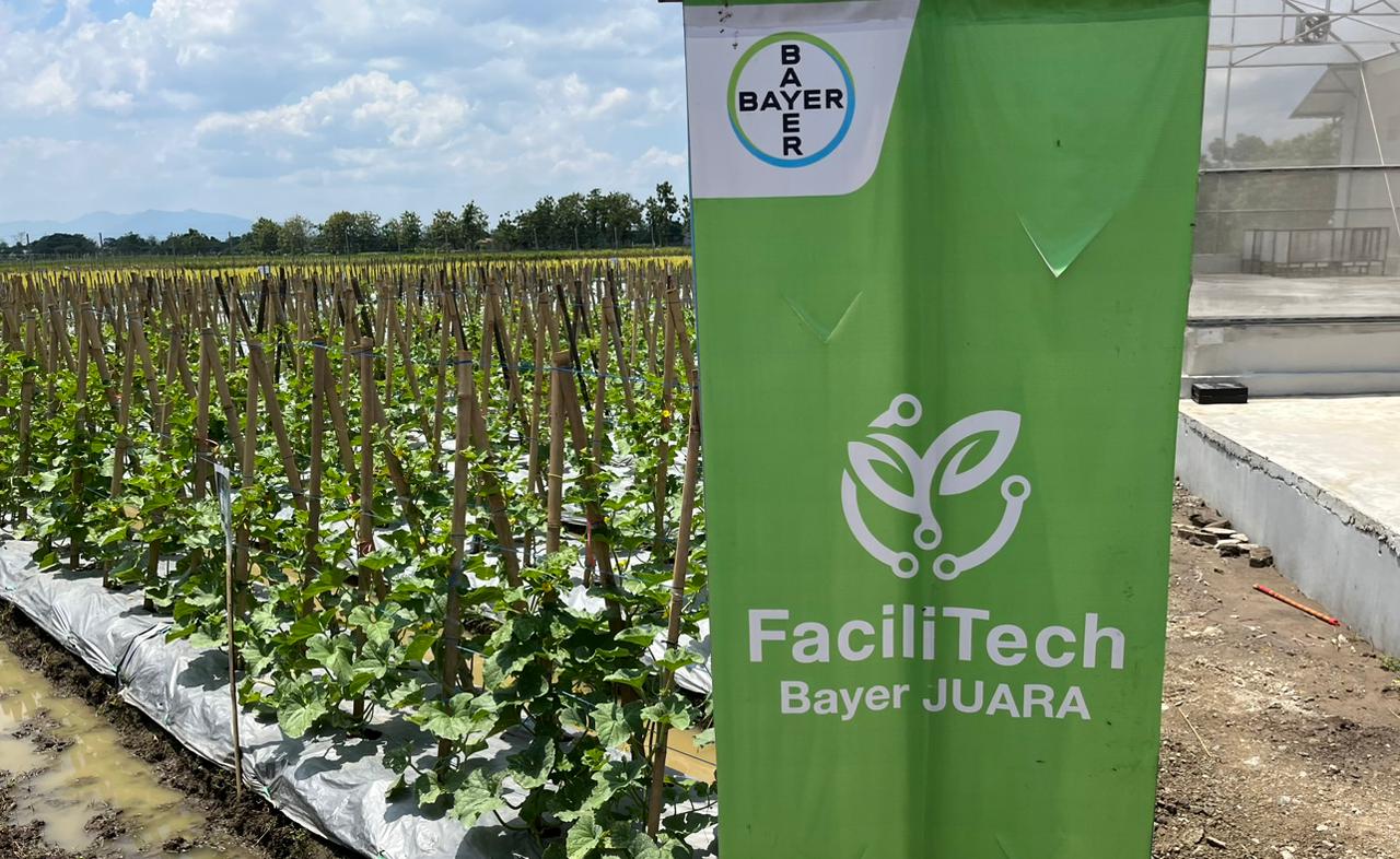 Bayer Tegaskan Peran Inovasi Pertanian Berbasis Sains Sebagai Fondasi Ketahanan Pangan
