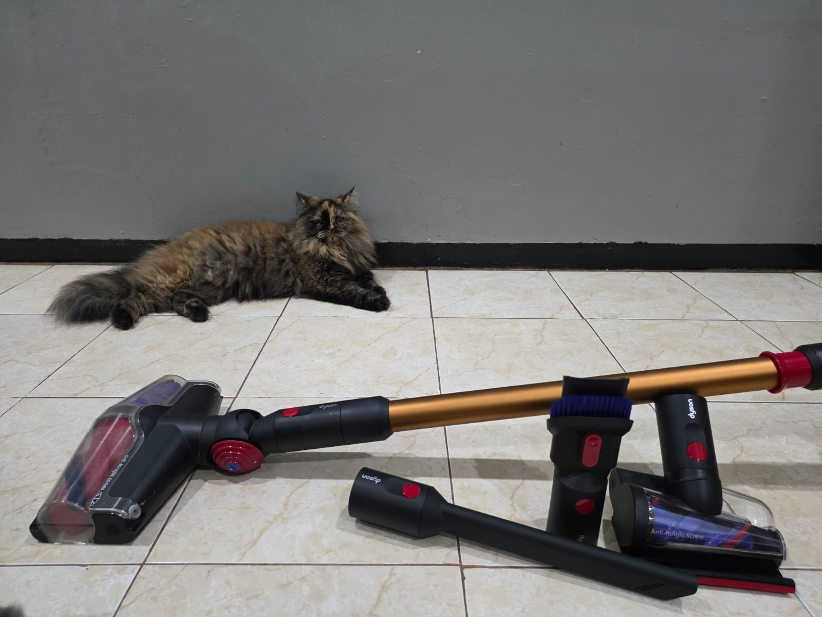 Dyson V16 Piston Animal, Canggih dan Tenaganya Luar Biasa