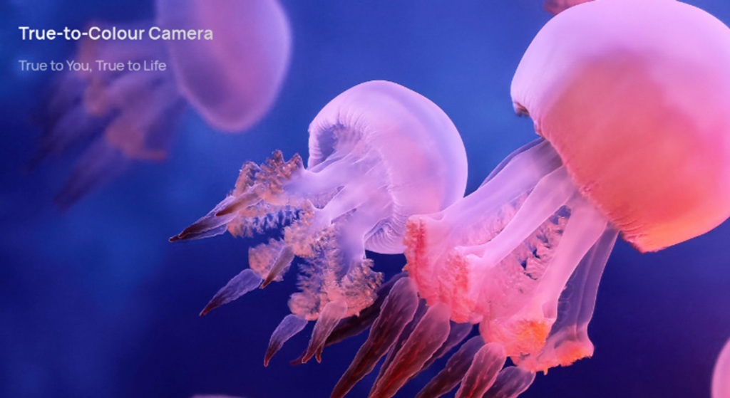 HUAWEI Mate X7 Hadir di Indonesia, Foldable Tangguh dengan Desain Premium dan Kamera Mumpuni