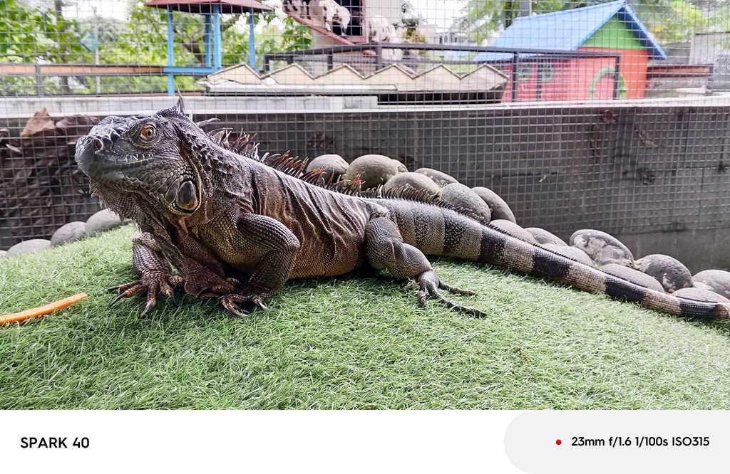 Review Tecno Spark 40, Mirip HP Mewah tapi Harga Rp1 Jutaan Aja