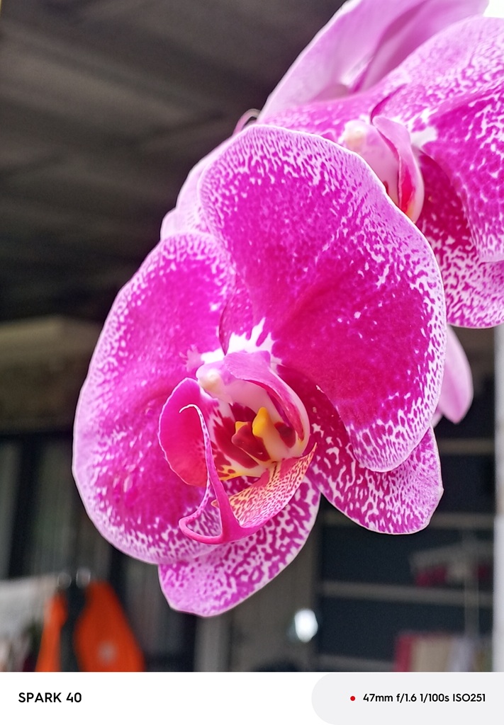 Review Tecno Spark 40, Mirip HP Mewah tapi Harga Rp1 Jutaan Aja