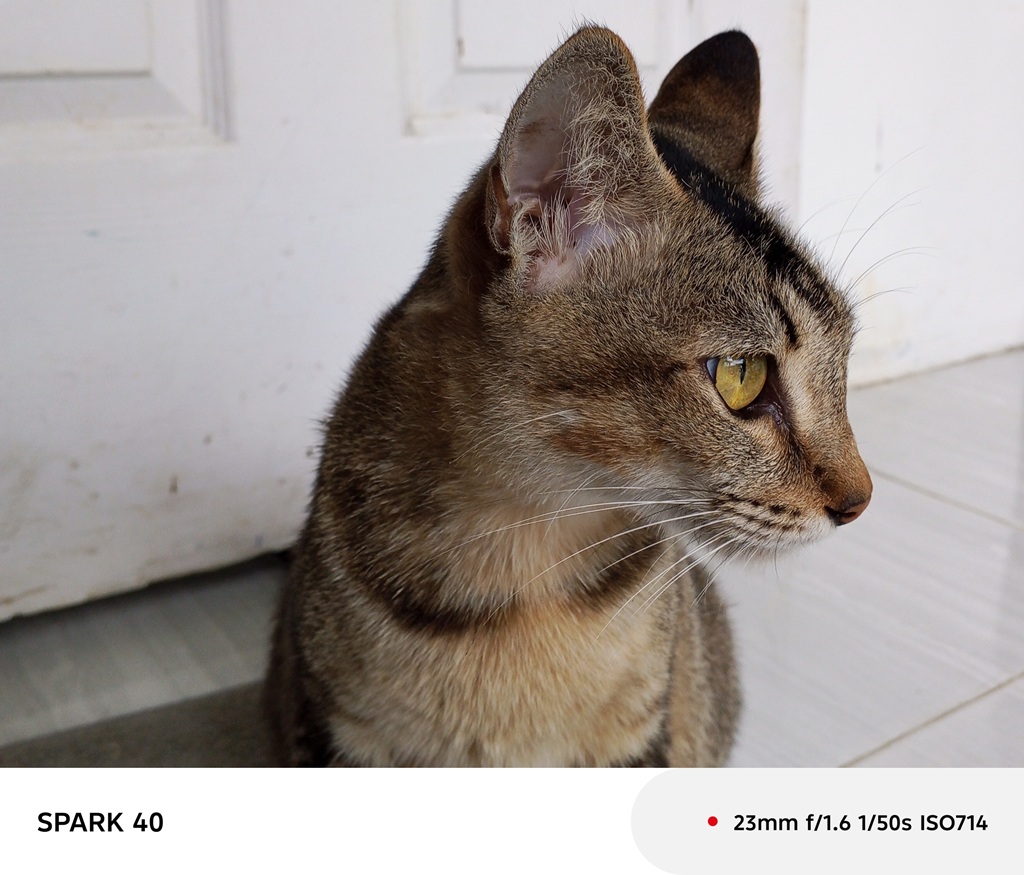 Review Tecno Spark 40, Mirip HP Mewah tapi Harga Rp1 Jutaan Aja