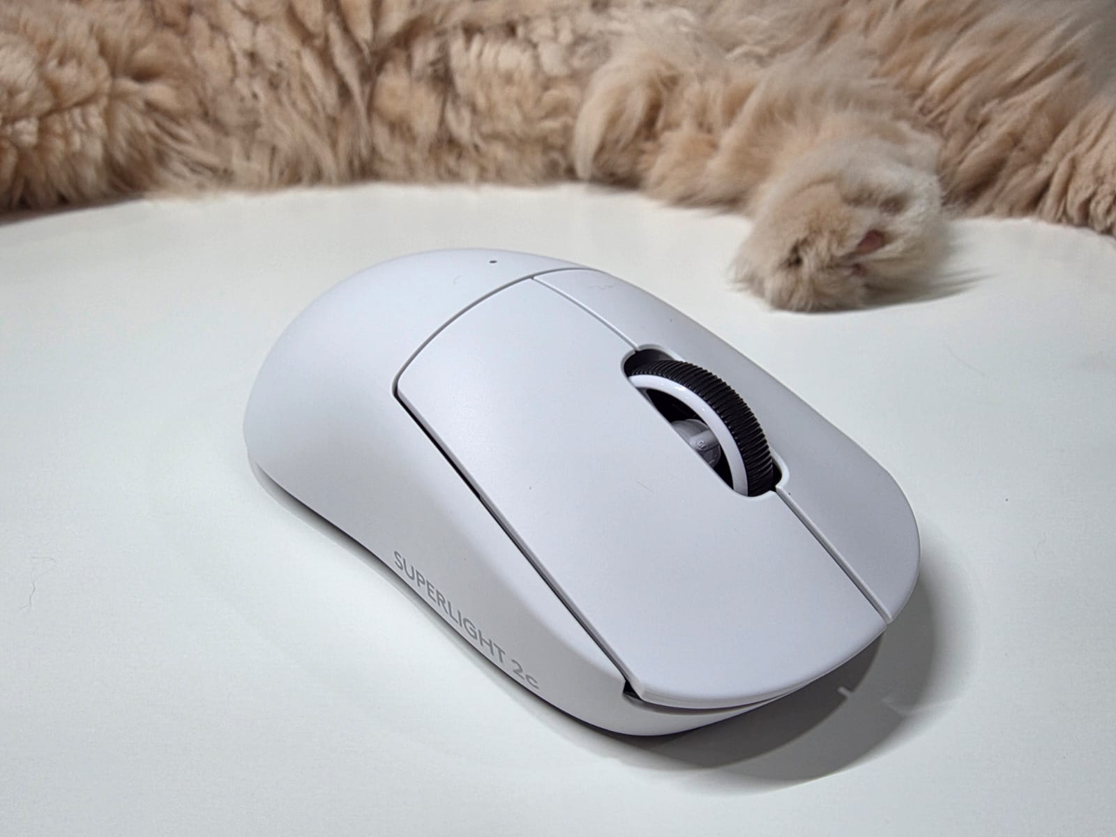 Logitech G Pro X Superlight 2c, Bukti Masuk Era Mouse Compact