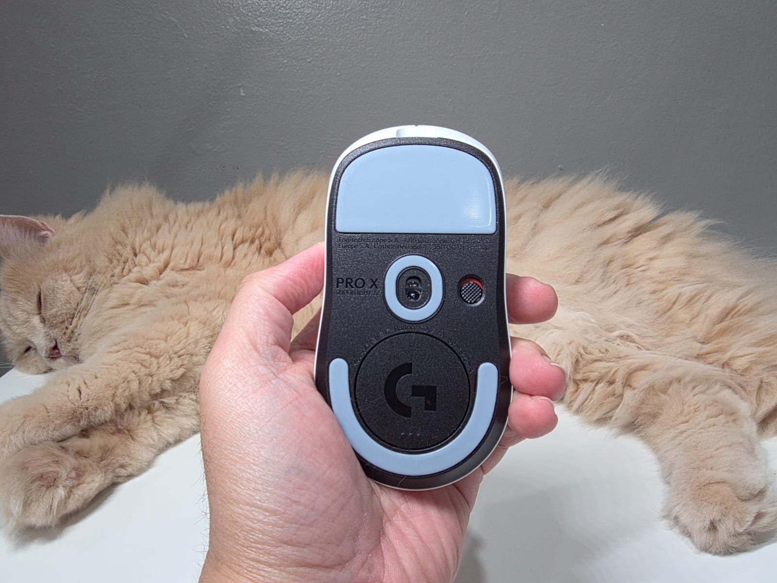 Logitech G Pro X Superlight 2c, Bukti Masuk Era Mouse Compact