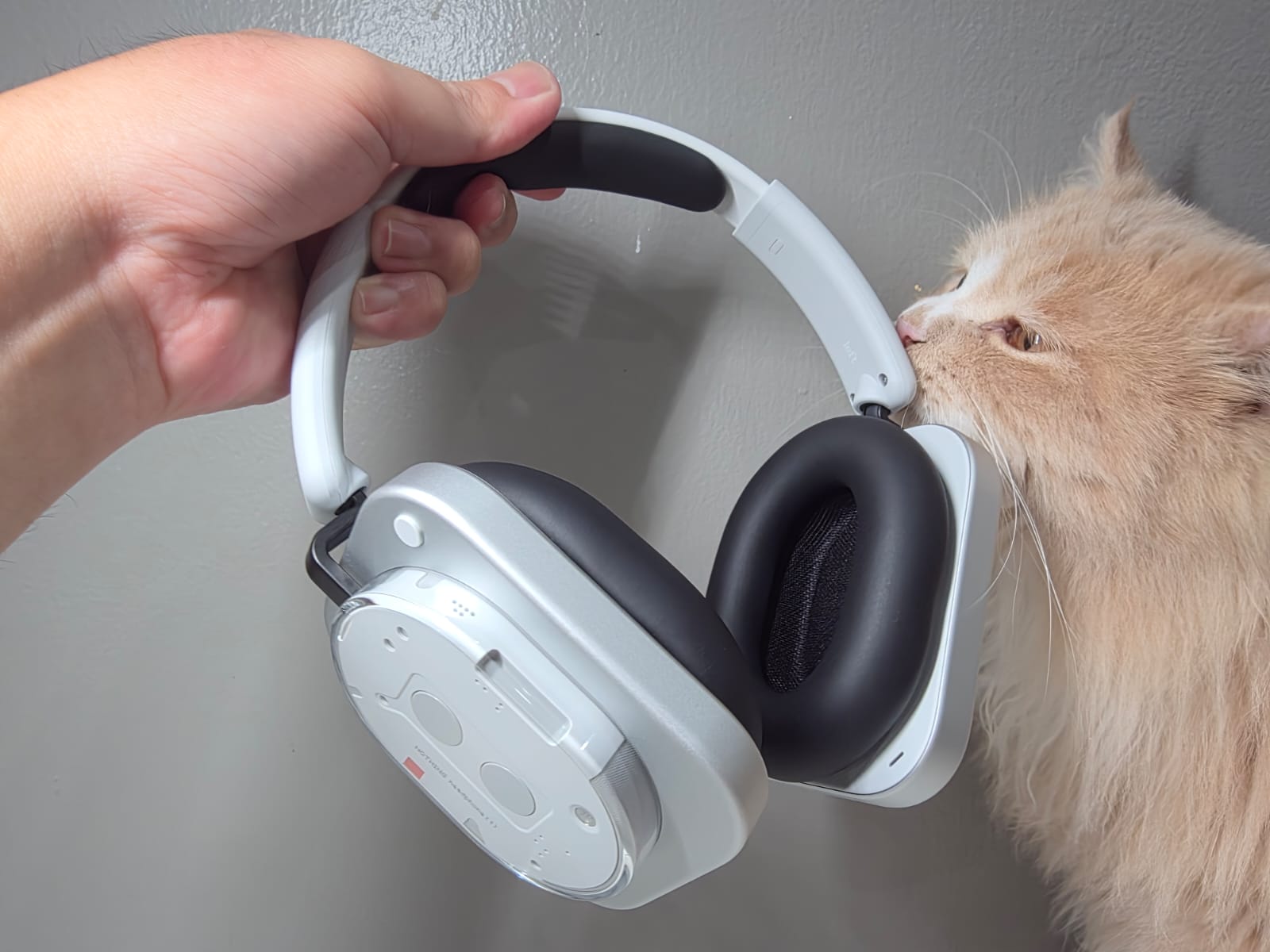 Nothing Headphone (1), Si Transparan Estetik yang Audionya Bagus