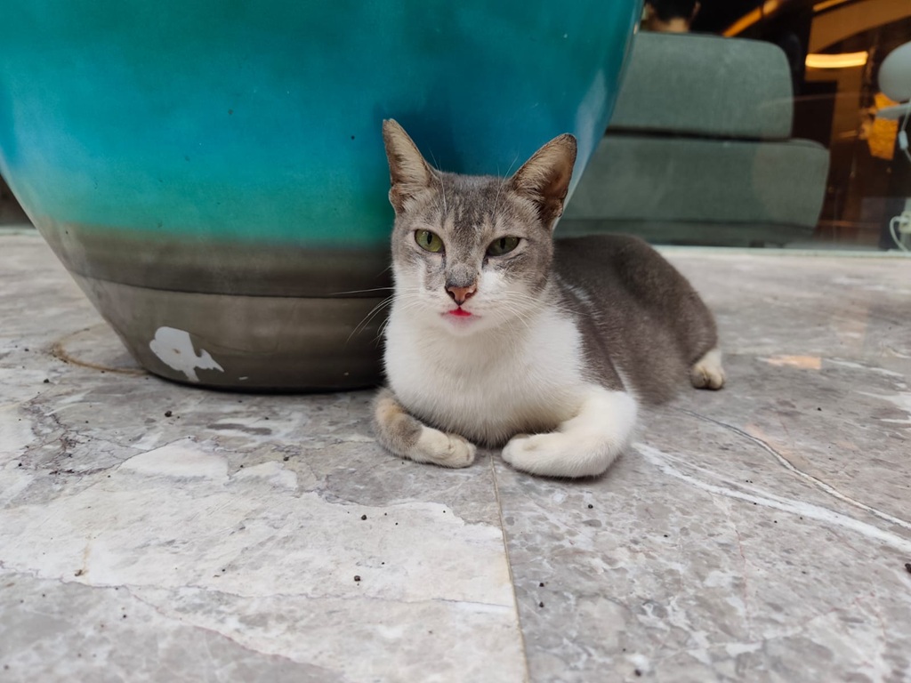 Redmi Note 15 Pro+ 5G, Cukup Terjangkau dan Lengkap