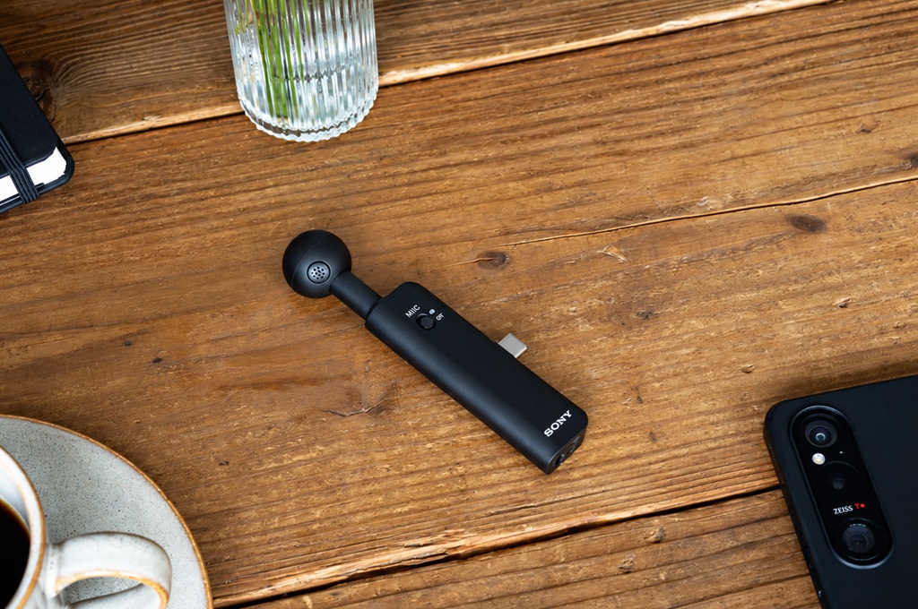 Sony ECM-AX10 - 2