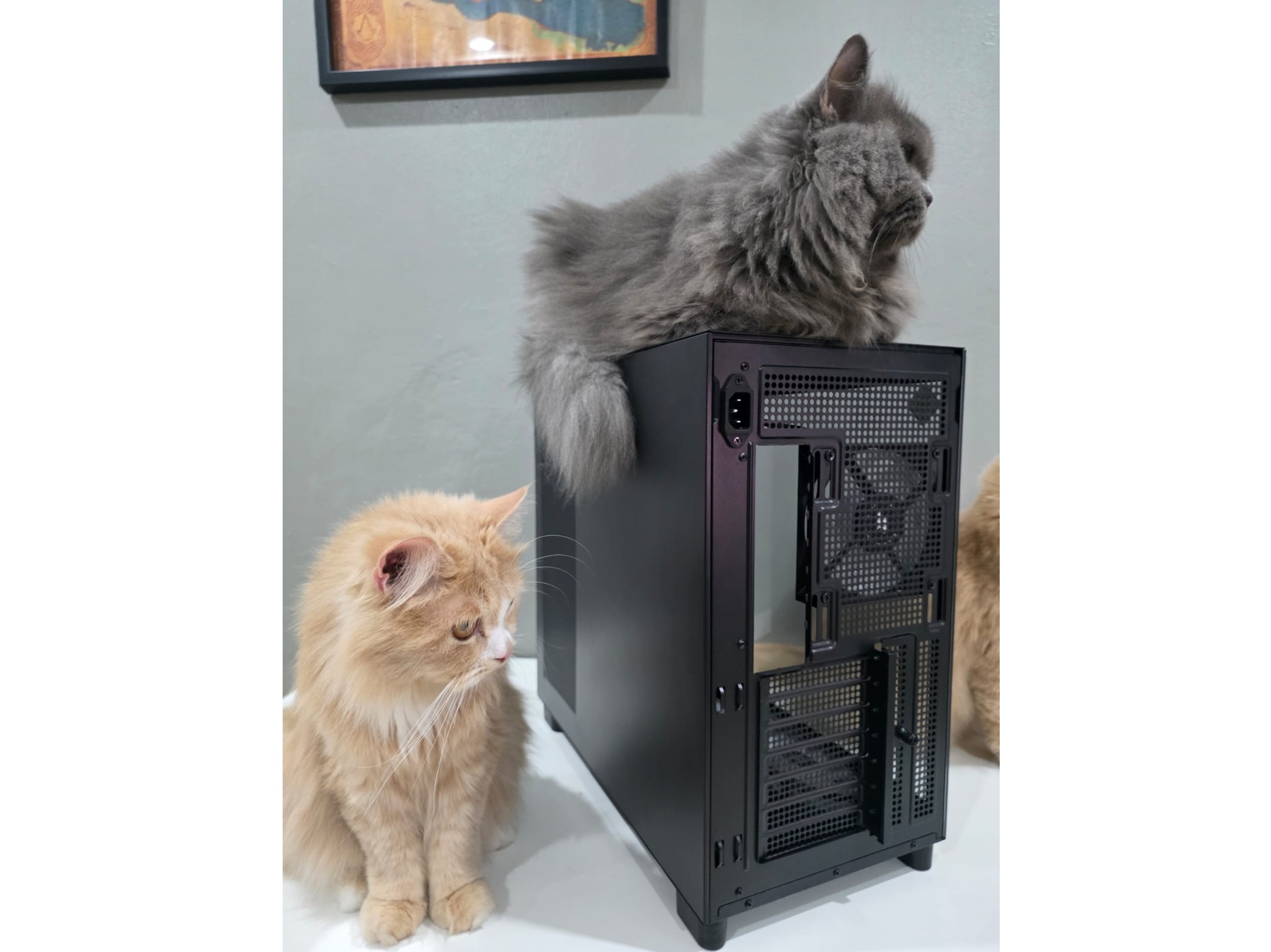 Gamemax Nex C53 Panoramic, Daya Tawarnya Menarik