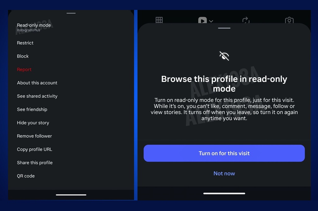 instagram-plus-read-only-mode