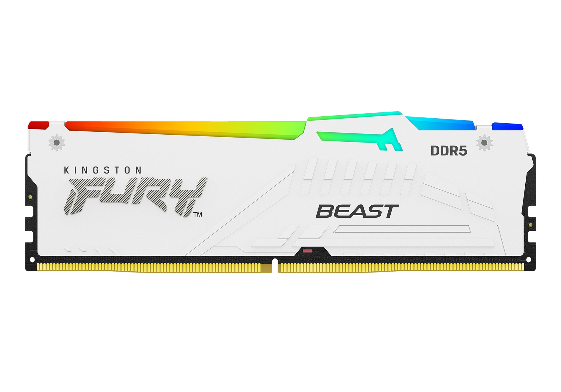 Nyobain RAM Kingston Fury Beast RGB DDR5