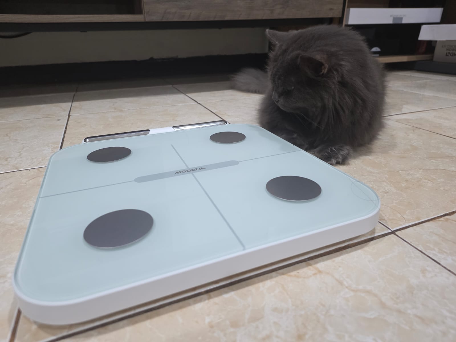 Review MODENA Smart Body Scale CA 1210 ITWA, Timbangan Pintar Bikin Cepat Kurus