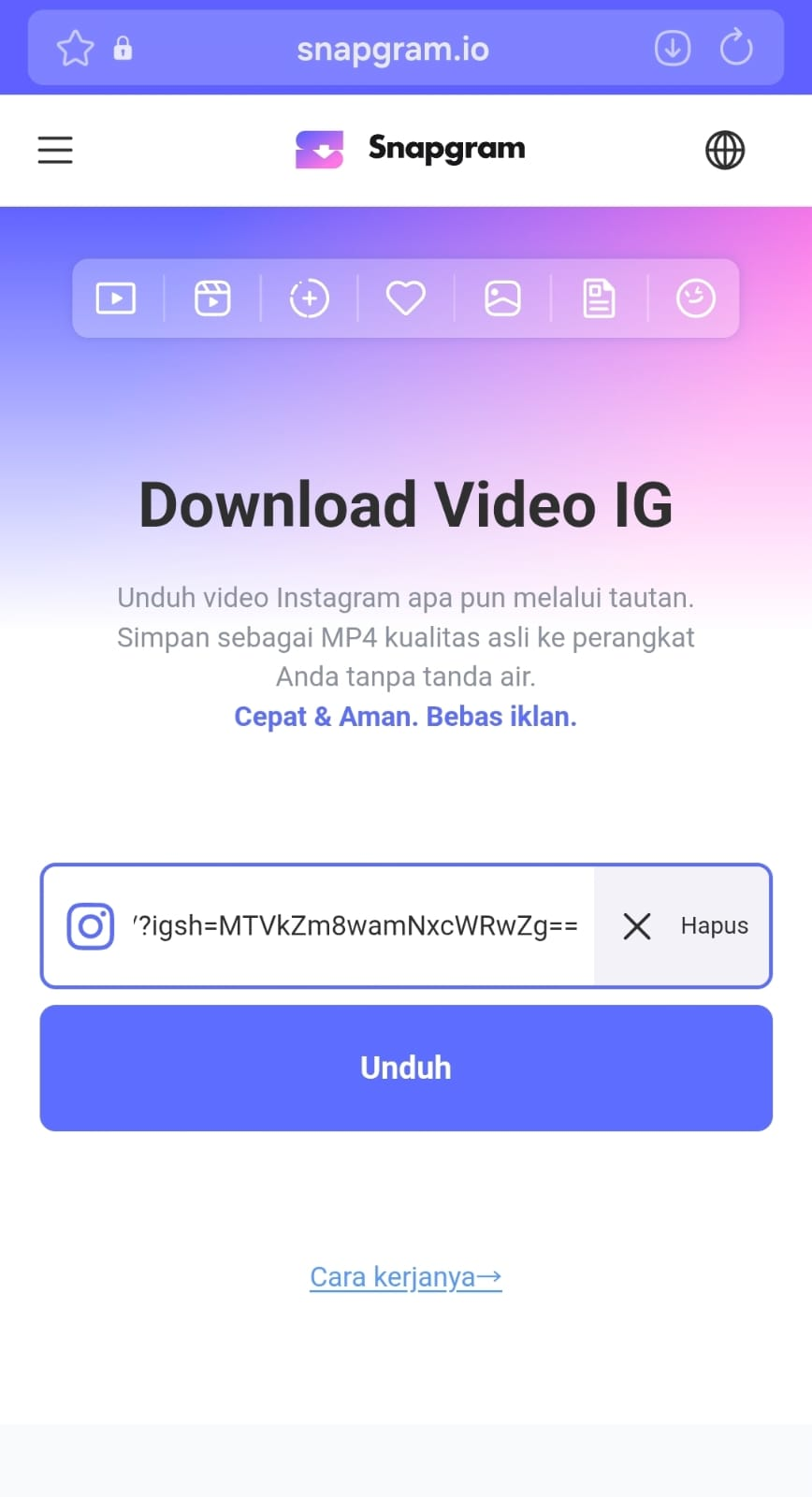 Snapgram: Pengunduh Video Instagram Tercepat, Tanpa Ribet