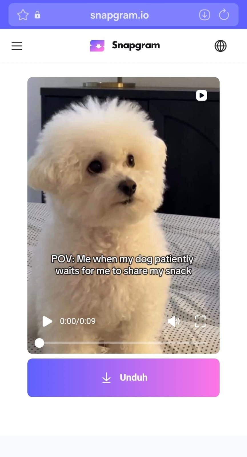 Snapgram: Pengunduh Video Instagram Tercepat, Tanpa Ribet