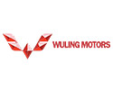 Wuling Motors