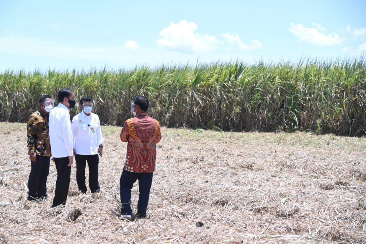 Peresmian Pabrik Produksi Gula Terbesar Di Indonesia Oleh Jokowi