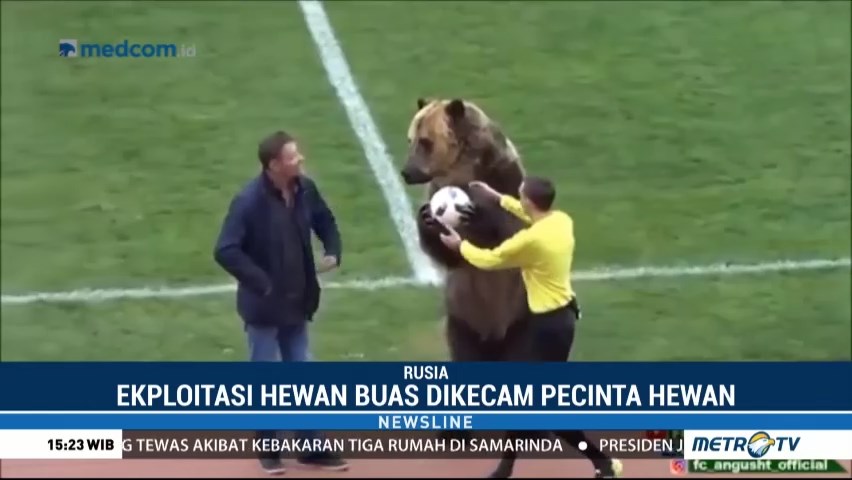 sepak bola