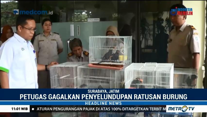 279 Ekor Burung Gagal Diselundupkan Ke Surabaya