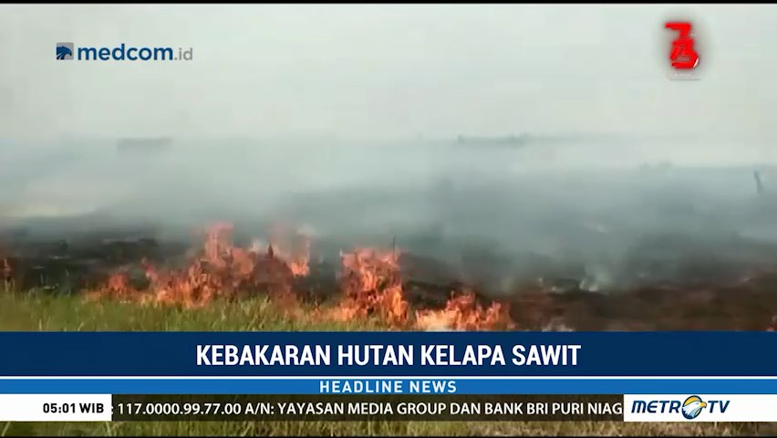 kebakaran lahan