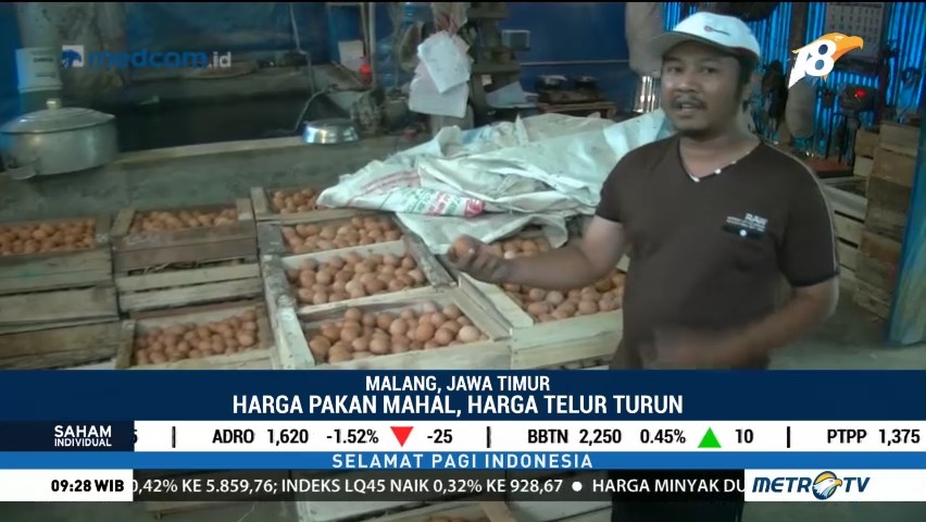 telur ayam