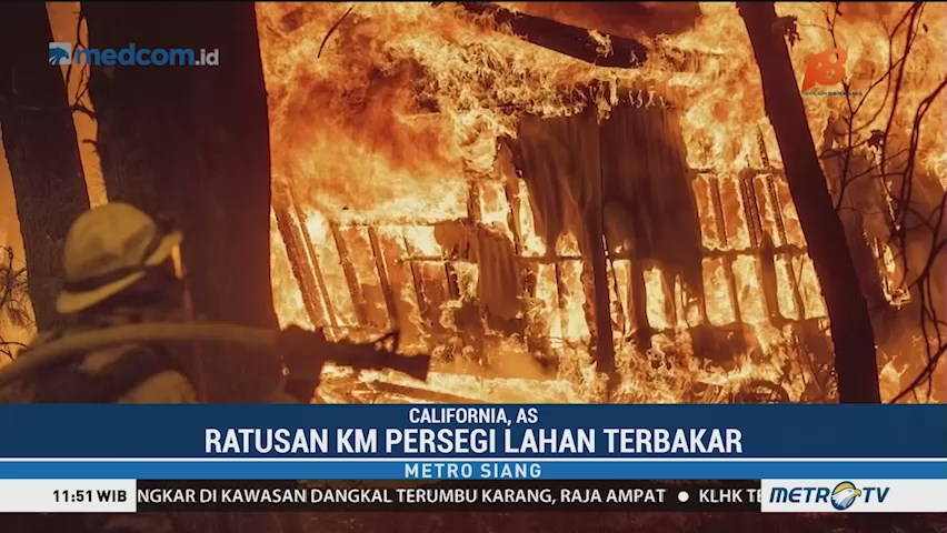 kebakaran lahan dan hutan
