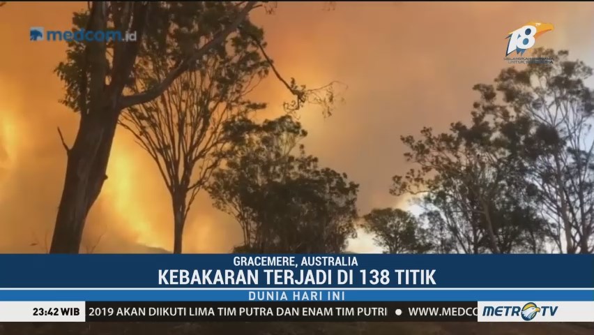 kebakaran hutan