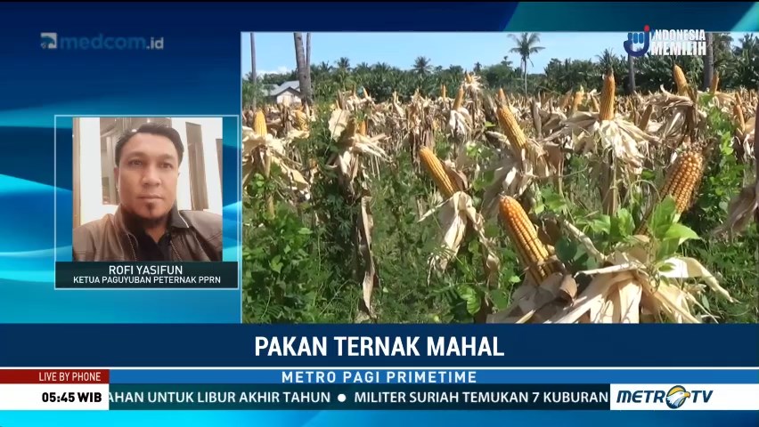 peternakan